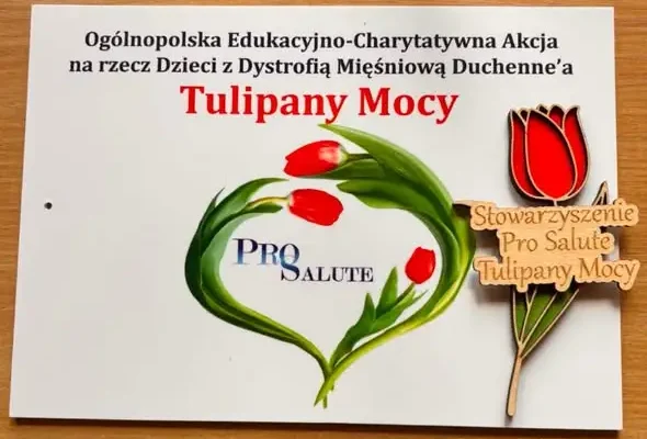 Szkoła w Tryńczy nagrodzona Brązowym Tulipanem w akcji „Tulipany Mocy”