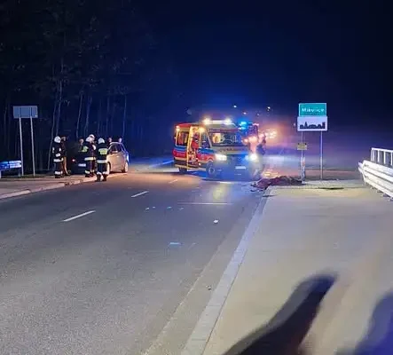 Kolizja samochodu osobowego z łosiem w Mikulicach – interweniowały służby ratunkowe