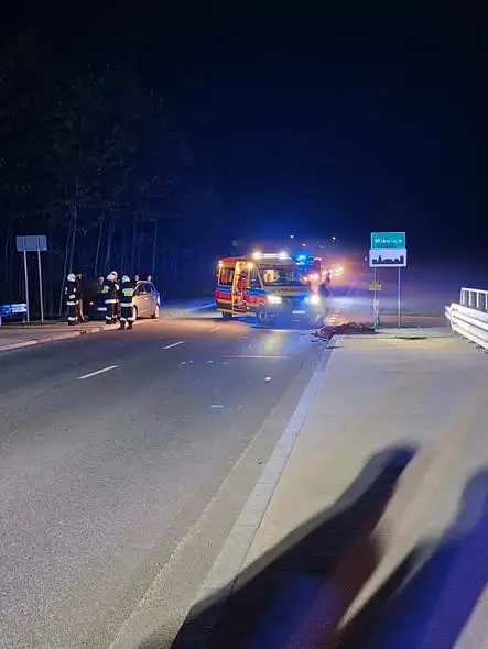 Kolizja samochodu osobowego z łosiem w Mikulicach – interweniowały służby ratunkowe