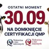 Nowy podjazd dla seniorów w Białobokach – trwa remont w Dziennym Domu WIGOR