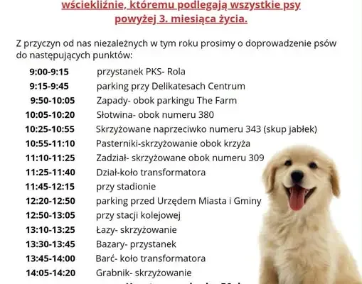 Obowiązkowe szczepienie psów przeciw wściekliźnie w Jaworniku Polskim – 10 października