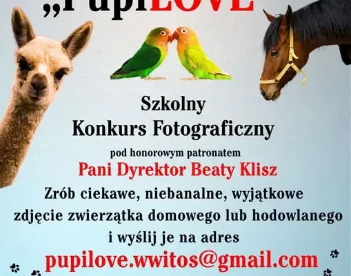 Szkolny Konkurs Fotograficzny „PupiLOVE” w Zespole Szkół im. W. Witosa w Zarzeczu